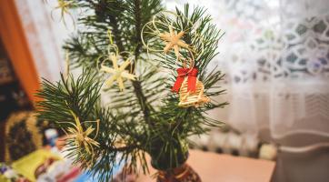 Foto: Kateřina Nosková