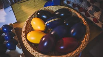 Foto: Kateřina Nosková