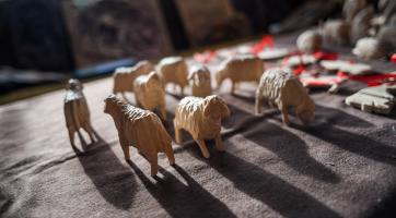 Foto: Kateřina Nosková