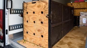 ​​​​​​​Foto: Zoo Zlín