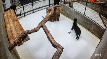 ​​​​​​​Foto: Zoo Zlín