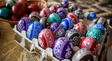 Foto: Kateřina Nosková