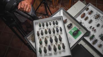 z natáčení v ateliéru Miroslava Maliny