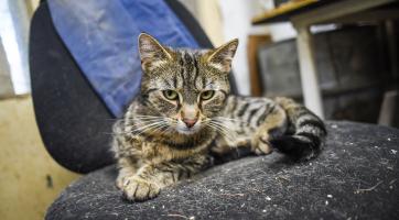 Jiří Galuška. Foto: Kateřina Nosková