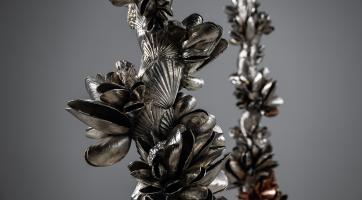 ​​​​​​​Foto: Jakub Viktora