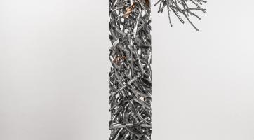 ​​​​​​​Foto: Jakub Viktora