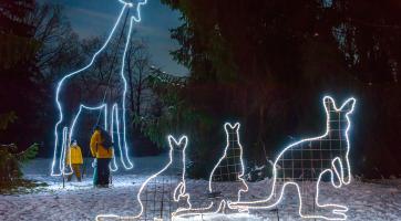 Foto: Archiv Zoo Zlín