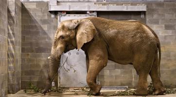  Foto: archiv Zoo Zlín