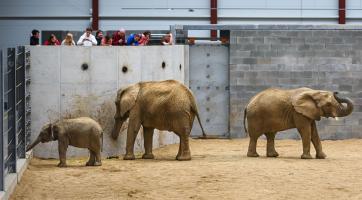  Foto: archiv Zoo Zlín
