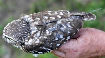 Foto: archiv Zoo Zlín