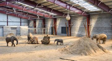  Foto: archiv Zoo Zlín