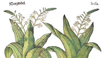 Foto: Muzeum Kroměřížska