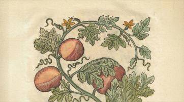 Foto: Muzeum Kroměřížska