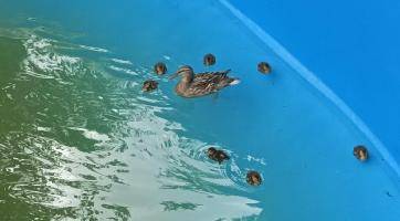 Foto: Město Luhačovice