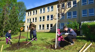Luhačovice budou zase o něco zelenější