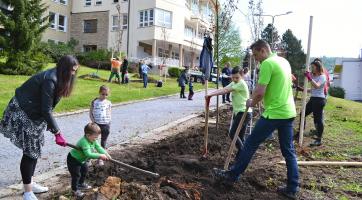 Luhačovice budou zase o něco zelenější