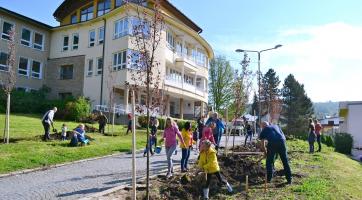 Luhačovice budou zase o něco zelenější