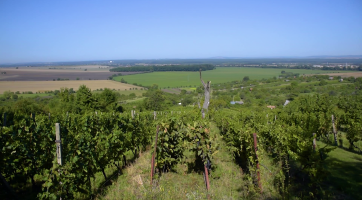 Horňácko (1. část)