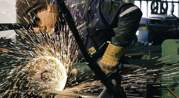 Zrození plejtváka obrovského