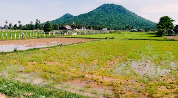 Horor o lásce a nenávisti