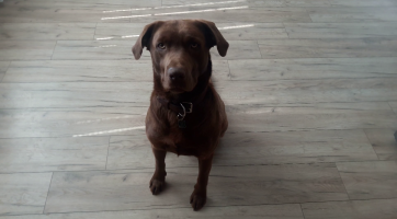 Natoč se! (6. díl)