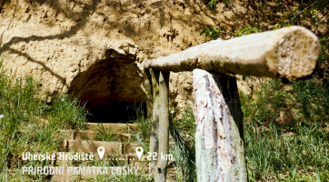 Přírodní památka Losky