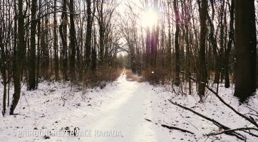 Přírodní rezervace Kanada