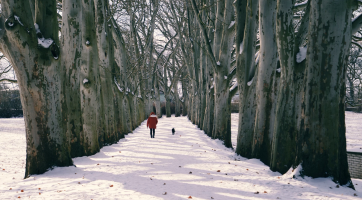 Zima ve strážnickém parku