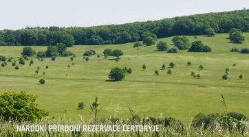 Národní přírodní rezervace Čertoryje