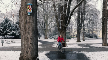 Zima ve Smetanových sadech