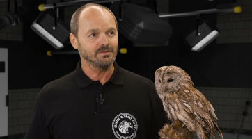 Sovy nejsou tak chytré jako dravci. Jsou pomalé, zapomínají a musí se s nimi trénovat každý den, říká vedoucí Stanice ochrany fauny Hluk Antonín Koňařík