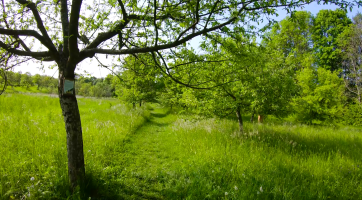 Ukázková přírodní zahrada a sad Hostětín