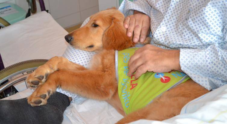 Pacienty ve valašskomeziříčské nemocnici potěší čtyřnohá kamarádka