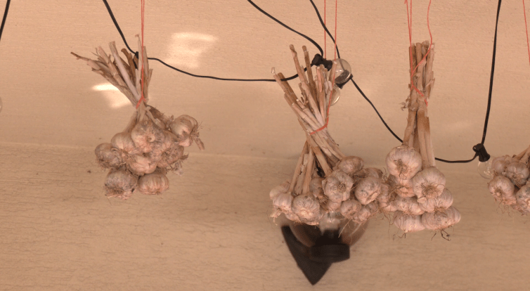 Oceněná chuť v sobě nese lásku a odkaz předků