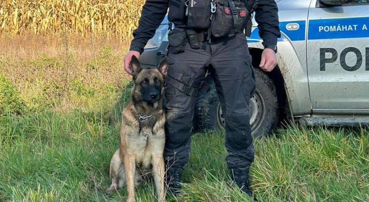 Policejní pes Kid zachránil život ztracenému myslivci. Našel ho promrzlého a zraněného v kukuřičném poli