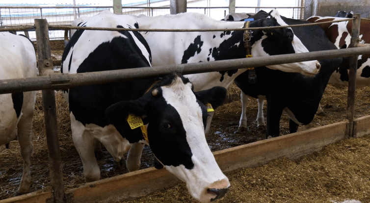 Topagra z Topolné pozvala veřejnost na Den otevřených dveří