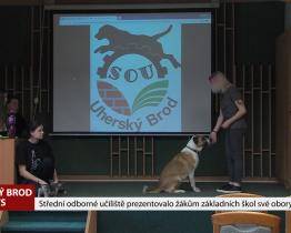Střední odborné učiliště předvedlo dětem učební obory
