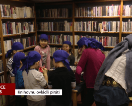 Knihovnu v Babicích ovládli piráti