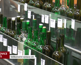 Velikonoční výstava vín v Polešovicích