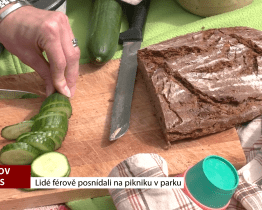 Lidé férově posnídali na pikniku v parku