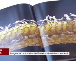 Kongresové centrum hostilo mezinárodní včelařskou akademii