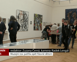 Muzejní noc patřila v Hodoníně hlavně dětem