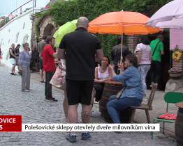 Polešovické sklepy otevřely dveře milovníkům vína