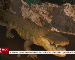 V Muzeu Jana Amose Komenského se konala přednáška o predátorech