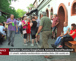 21 vinařů nabídlo návštěvníkům vinného žlebu 200 vzorků vína