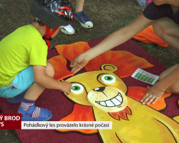 Pohádkový les provázelo krásné počasí