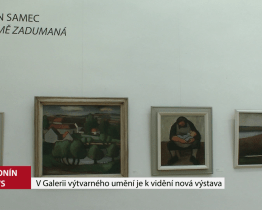 V Galerii výtvarného umění je k vidění nová výstava