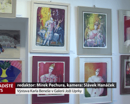 Výstava Karla Beneše v Galerii Joži Uprky