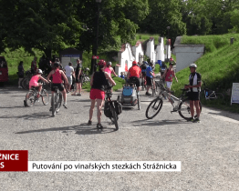 Putování po vinařských stezkách Strážnicka