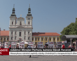 Masarykovo náměstí zaplnily stánky chráněných a terapeutických dílen
